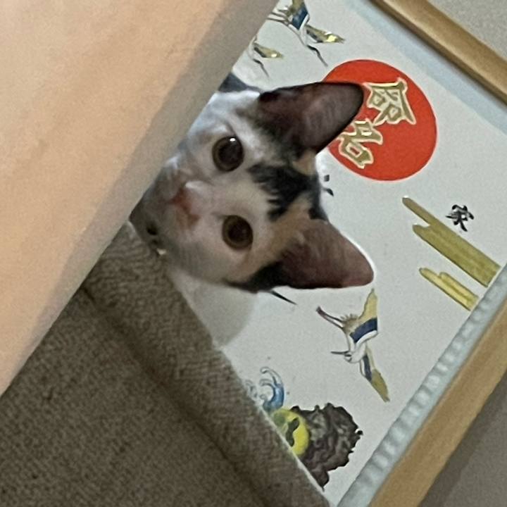 70c2b061 1783 4f49 af84 e9d5852e7042 1663898701602