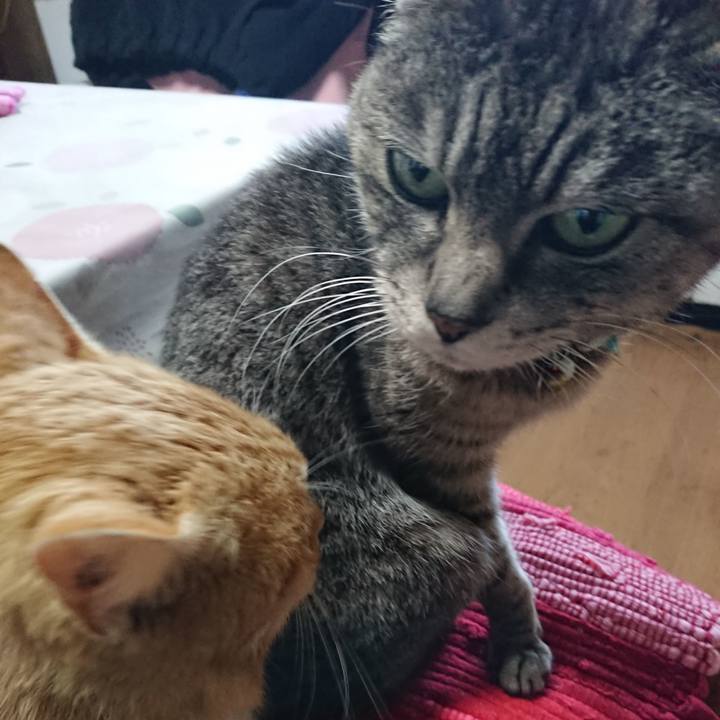 70c2b697 3a0f 4c7b 892e 54344f65bb2d 1554534372198