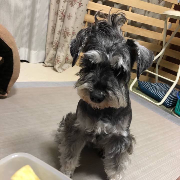 70c2f017 10da 4992 8608 8e00059a3efc 1625059342357