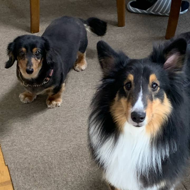 70c2f1c2 8d70 4431 a6e5 4f3e3faa446b 1585524327156