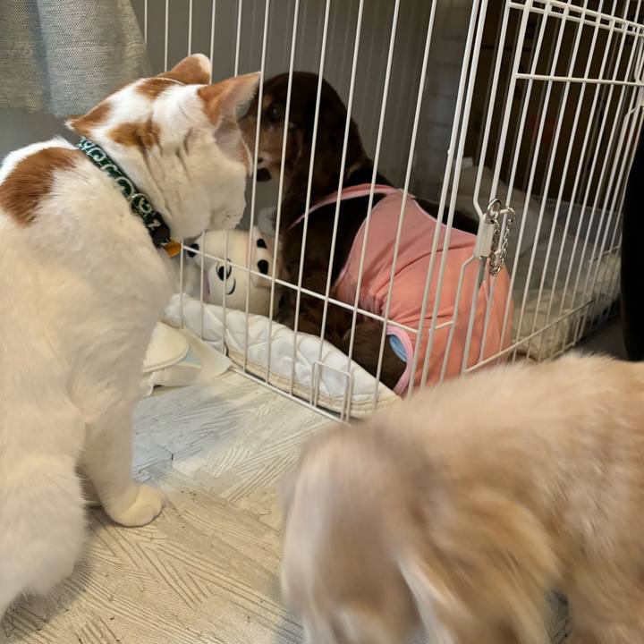 70c30bf1 d01d 41dd aa4c 9f2c8a77f67a 1743215109812