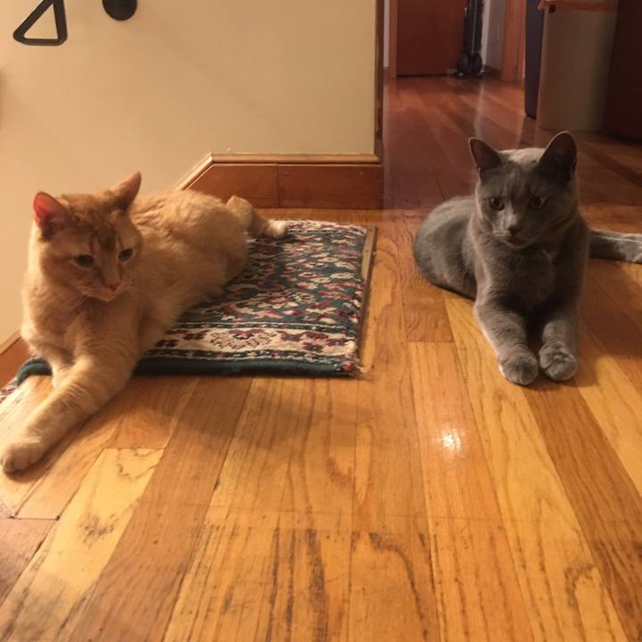 70c36860 45b6 4ed3 bcf9 0ec597bdaced 1633650776611