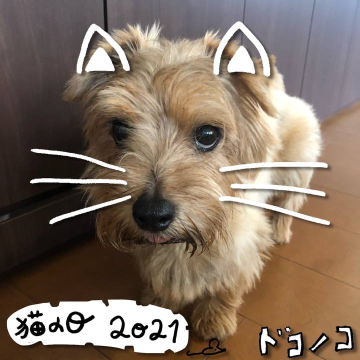 70c37d2e 4b8b 4f4e 9cb4 32a30c9206ab 1613987680464