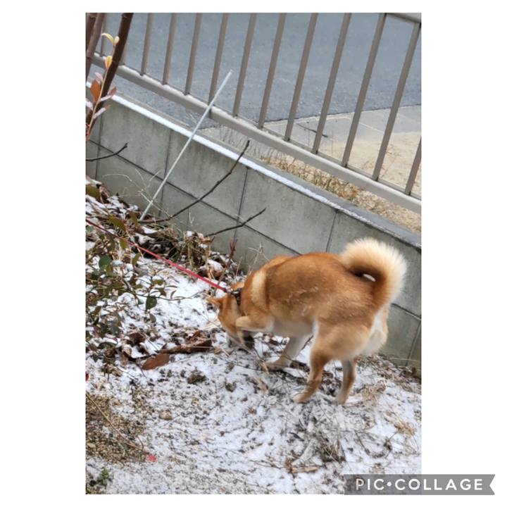 70c39e2e ee2e 43c5 8672 bc65c721278a 1674778340752