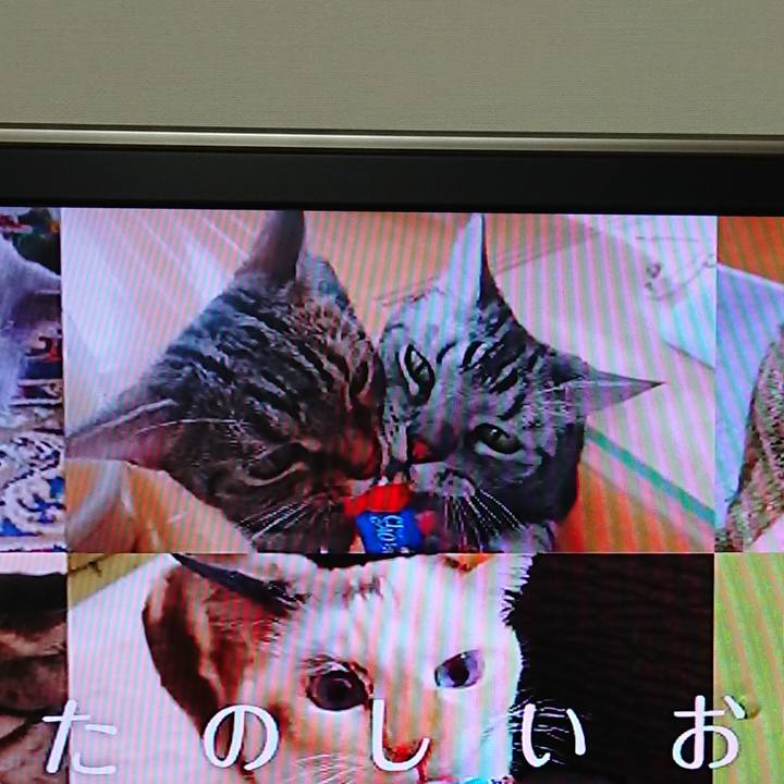 70c3ca14 8a31 4ca3 a498 1eeb994e53fd 1586505418073