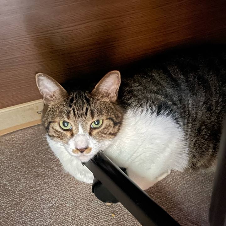 70c3f8ab ca50 4db0 b968 a002d33ea029 1751774971027