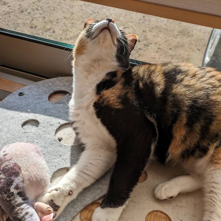 70c40206 5348 45ef bd0c df5aa0af7e41 1700800751862