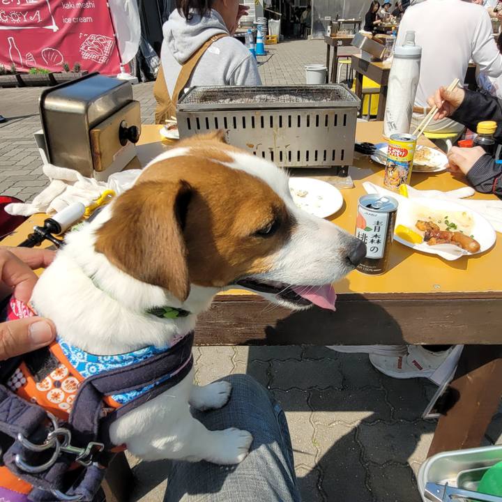 70c43659 0000 4ed2 b567 d0525e9c63a8 1710655007765