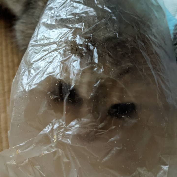 70c43bb6 6cb0 4790 a14d 926ace132057 1657080964398