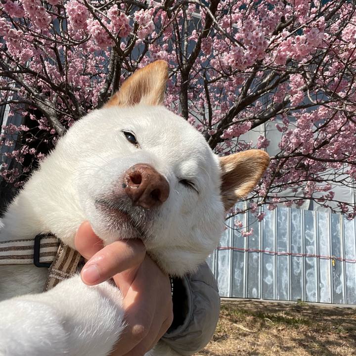 70c43ddb 943c 47d3 acca d092c4811025 1646733538555