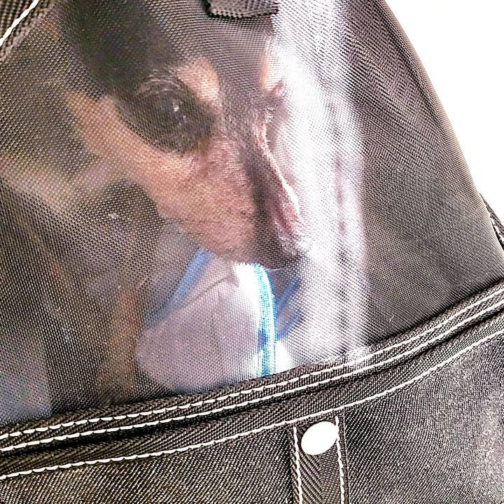 70c469fa b511 4290 9d16 469d0e50f761 1696649843228