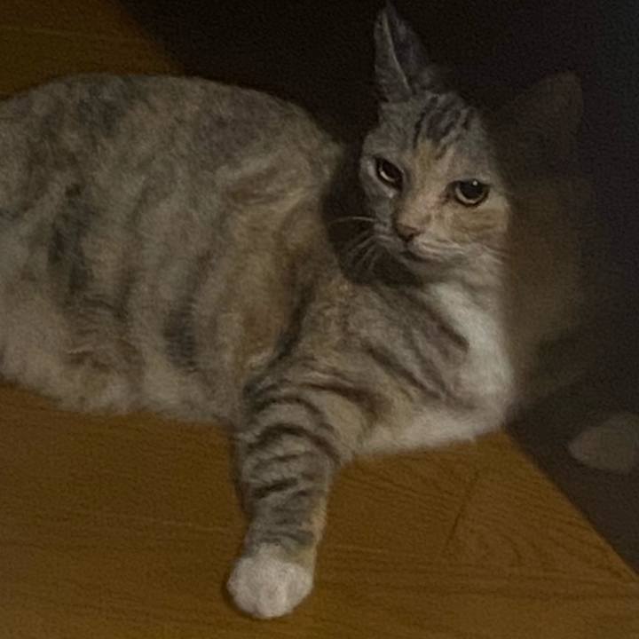 70c47a9d 31c4 4146 8b26 9569dee2e00a 1693781047465