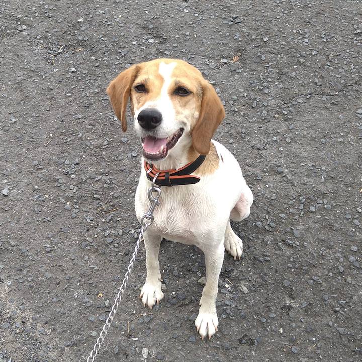 70c47c5b 1488 4c61 9b58 8361e5a0bc3a 1627364158573