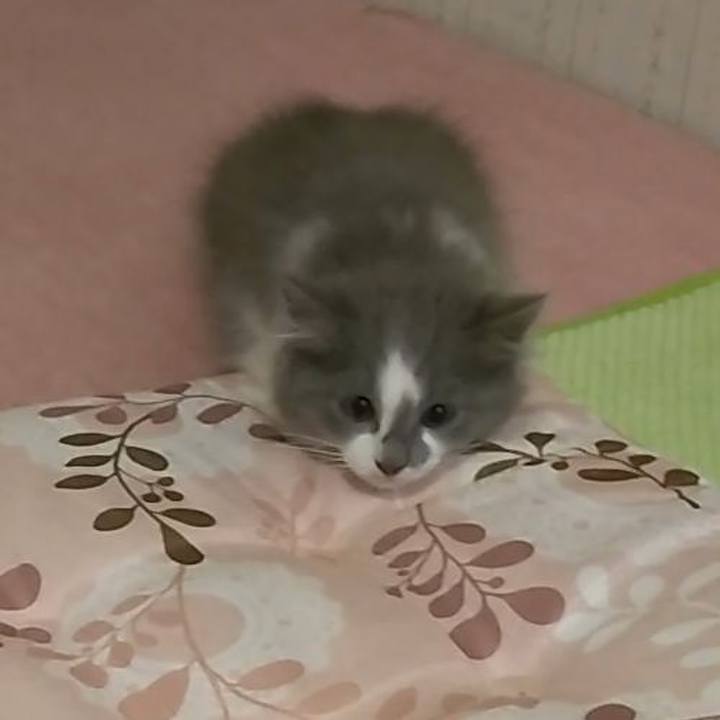 70c48373 7bc2 4e40 b1b3 db1745ced42e 1562107703873