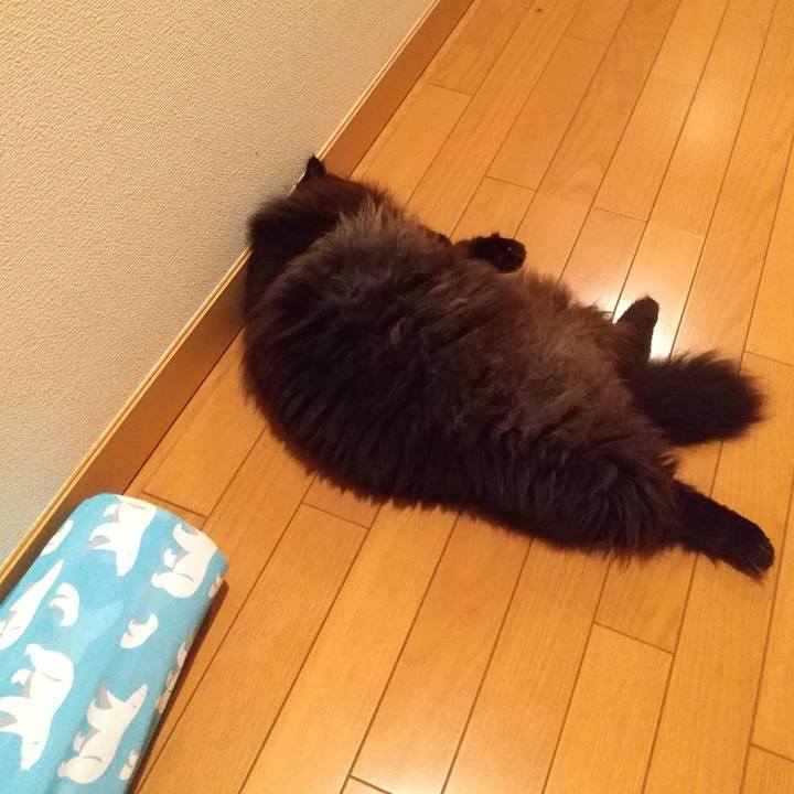 70c4af9c 5a97 415f 963a 82d1fdde3520 1662385426341