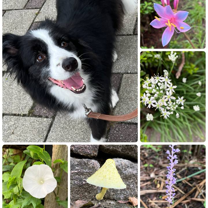 70c4b8d1 66d8 4f6b acac 386052732128 1757811386869