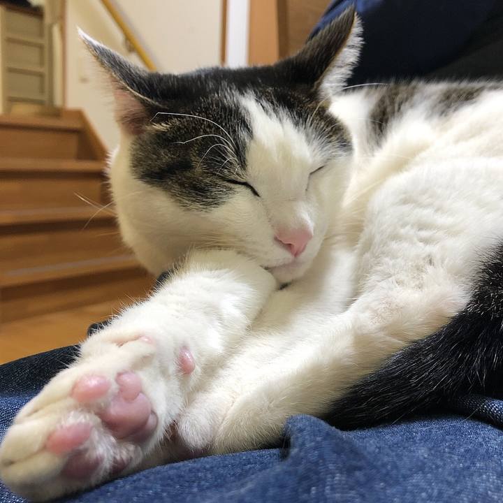 70c4ed1b 551c 4fce 99de 48248a349be0 1641643099533