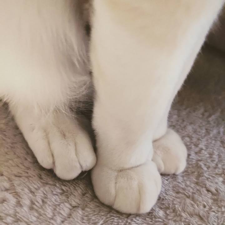 70c569b0 8bf4 41f8 8a07 38ae48c09533 1711634185056