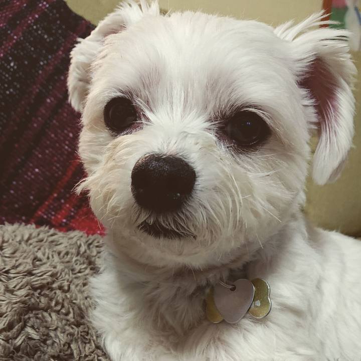 70c58648 494a 4f59 bd66 43b1495a4238 1546949840337