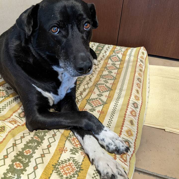 70c58b4c 0a26 414d bb8d eb767325d327 1682763853791