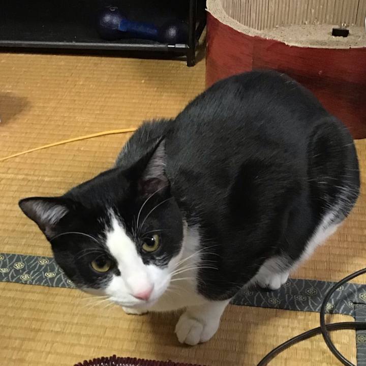 70c59b2d 0154 462a a78a 1021caf2e8aa 1646348458431