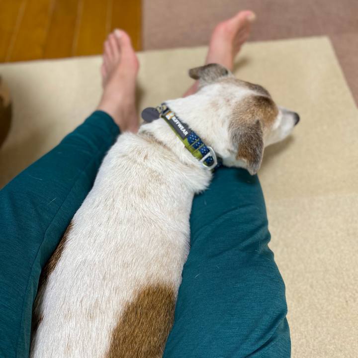 70c5a454 25a6 48c6 9556 4cf036a408d8 1659572110543