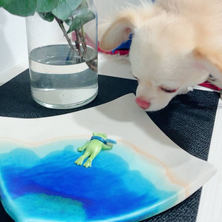 70c5adb4 8b84 4a61 8880 911e5b666f61 1687776536223