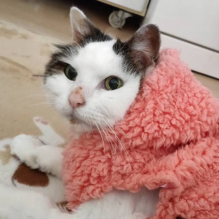 70c5ae8b e581 41e1 93fb e14ee1036761 1716613063598