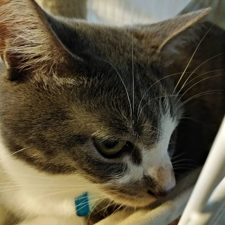 70c5b3bc b82d 4c61 99c8 52bc8bf44a50 1595026958871