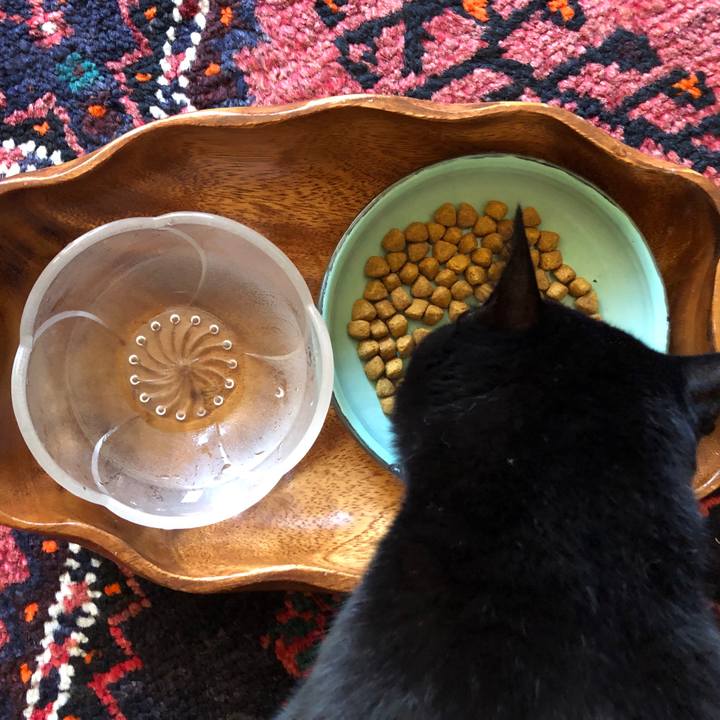 70c5dc38 17dd 4a2d b214 a4220bcc320a 1564094490202