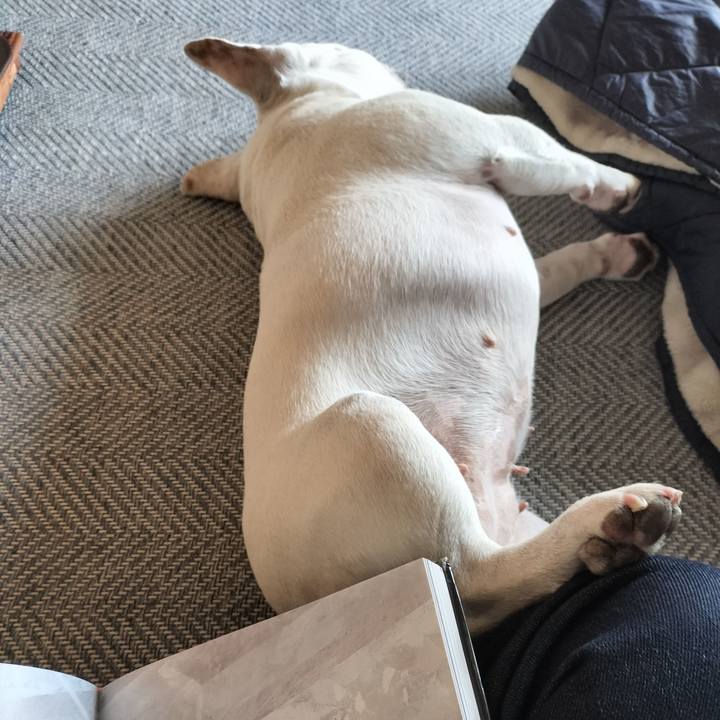 70c5f7fc 62e0 45e2 af3d 184bb39ee75d 1681379808930