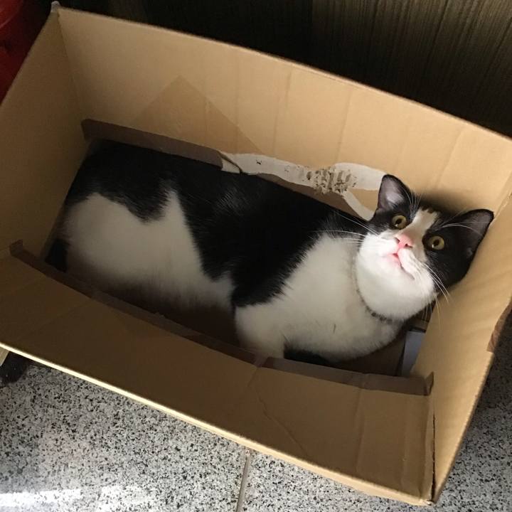 70c5f845 ecf4 4193 ab44 27a574e3457b 1655716076665