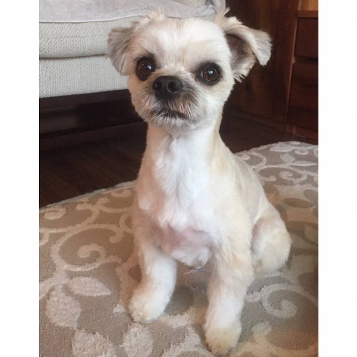 70c61280 0366 4a88 aebd c4f0070113b7 1558608941853