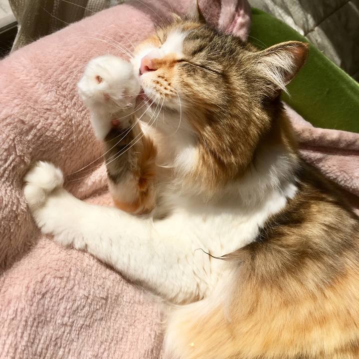 70c633db 8e31 4e9b 8e21 194c70f9078e 1553832335468