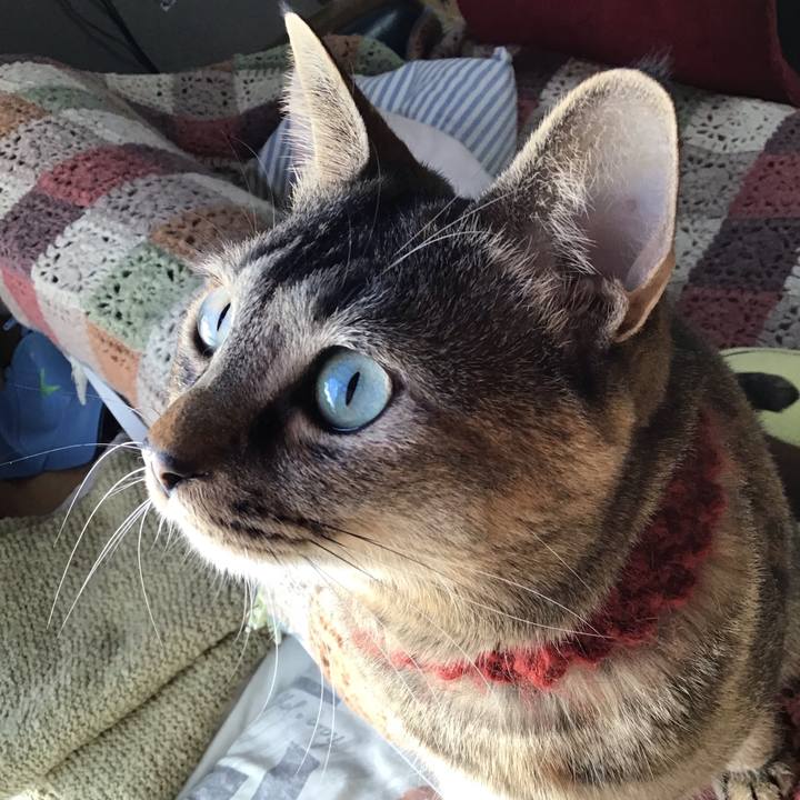 70c64c6b 8684 4412 abfc eb768321c3aa 1641541330882