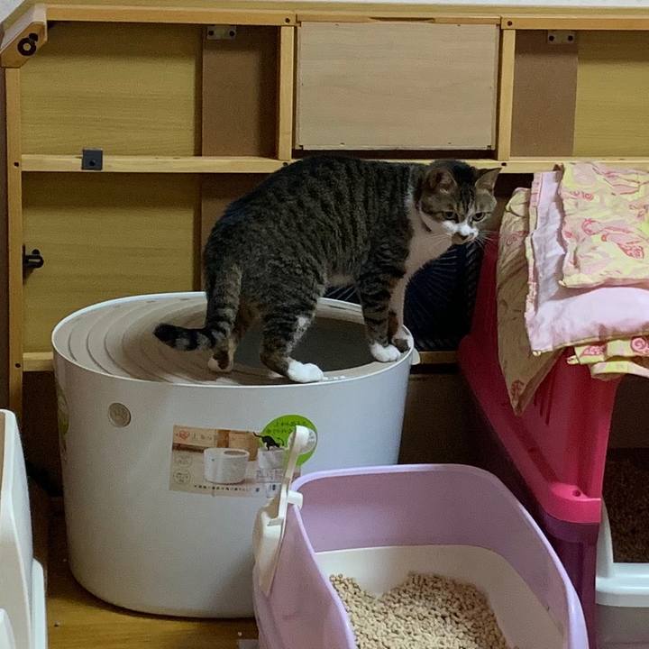 70c670a0 1788 4514 b92c cb0f91a7acf5 1563013712442