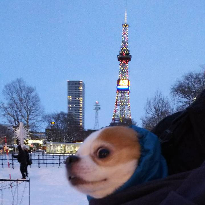 70c69b50 8f07 4646 958b 62ed1a47fe87 1512811405317