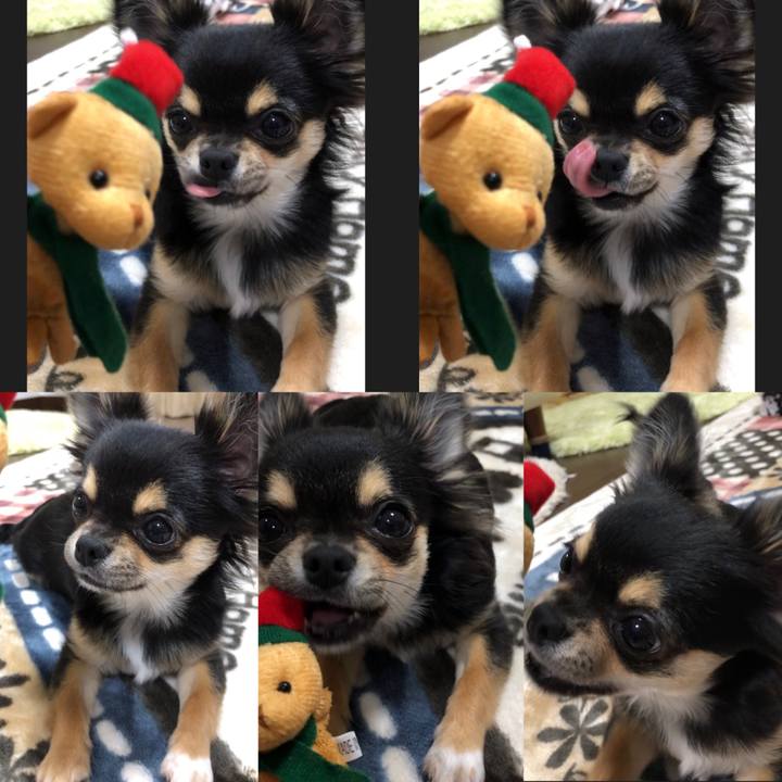 70c6d898 fa87 426b 9b7c bd754d30d18e 1545562615043