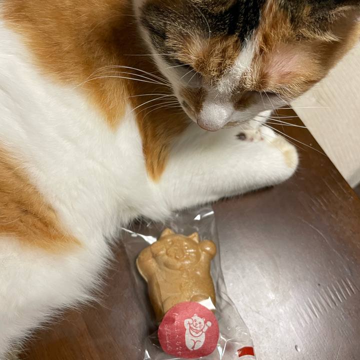 70c6ee94 9aa6 40f2 b293 842a05c913b2 1689171871644