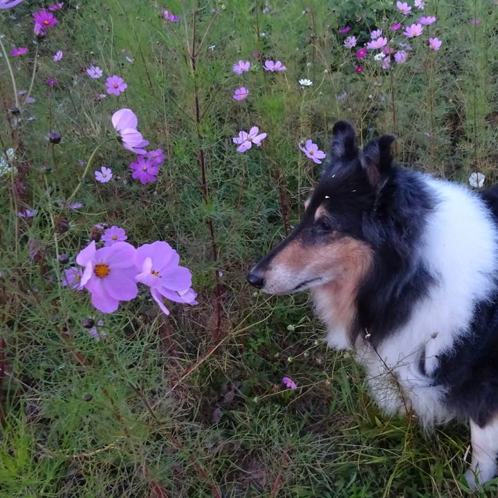 70c6f13b 63fc 4b25 87ba aba3e9cd2d75 1573821063960