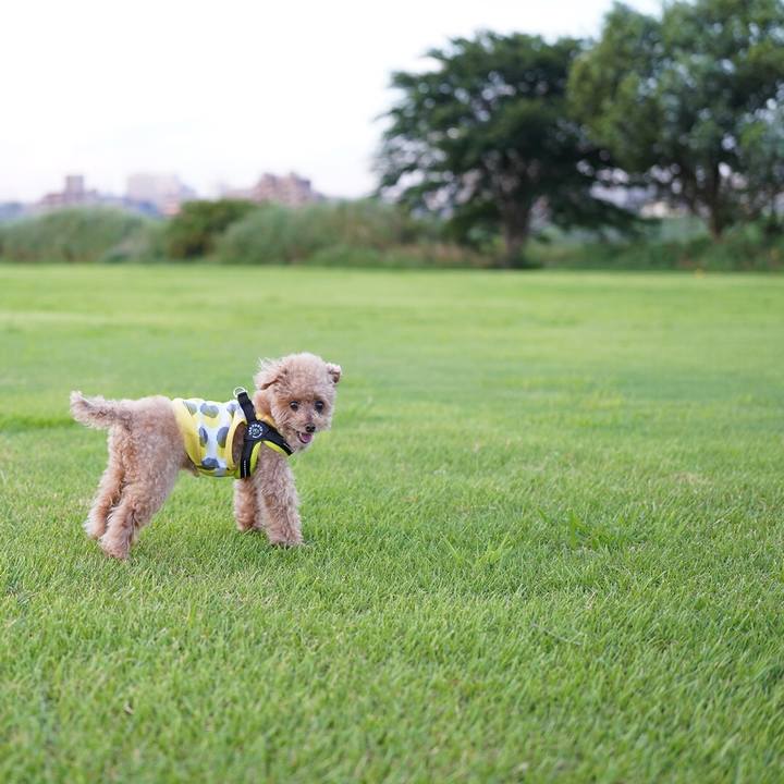 70c70ea7 0a4f 4314 981f f0cc608299c5 1665297395850