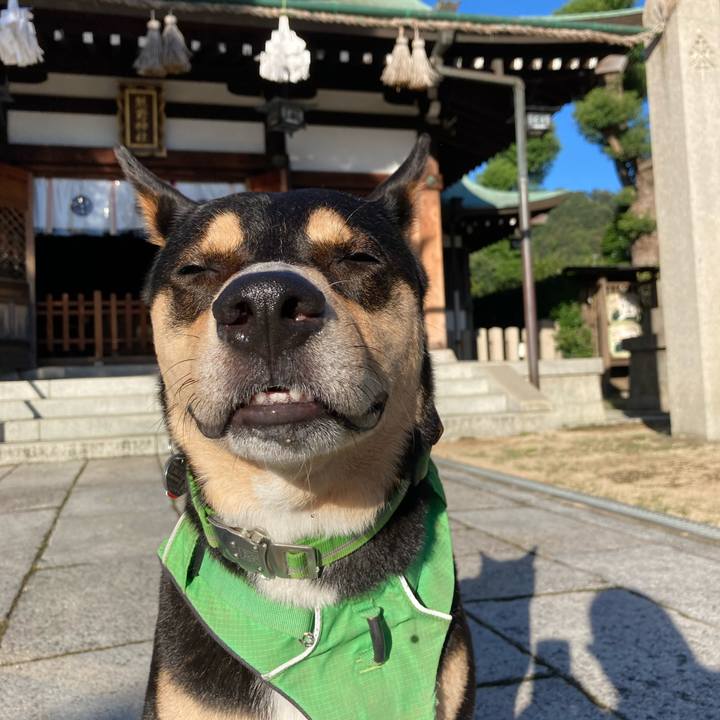 70c717b7 79f2 461a 8ec4 fab1145cfba9 1599918704208