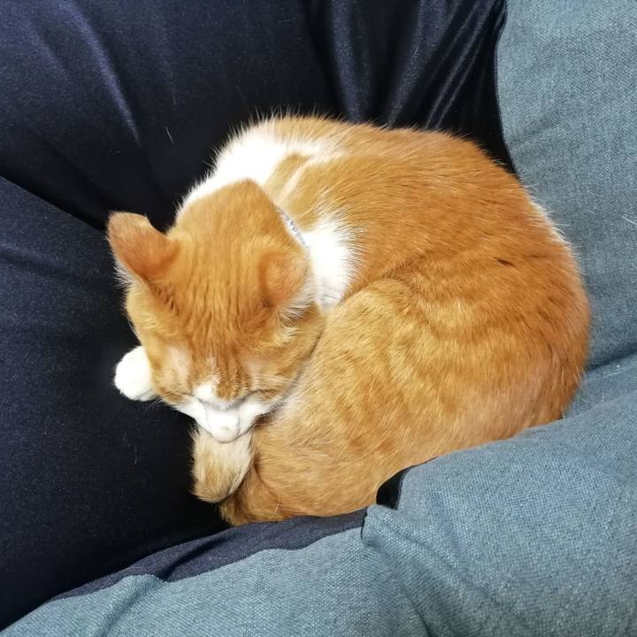 70c740d8 a624 496e 8bfd 42cf06a685cb 1609498162672