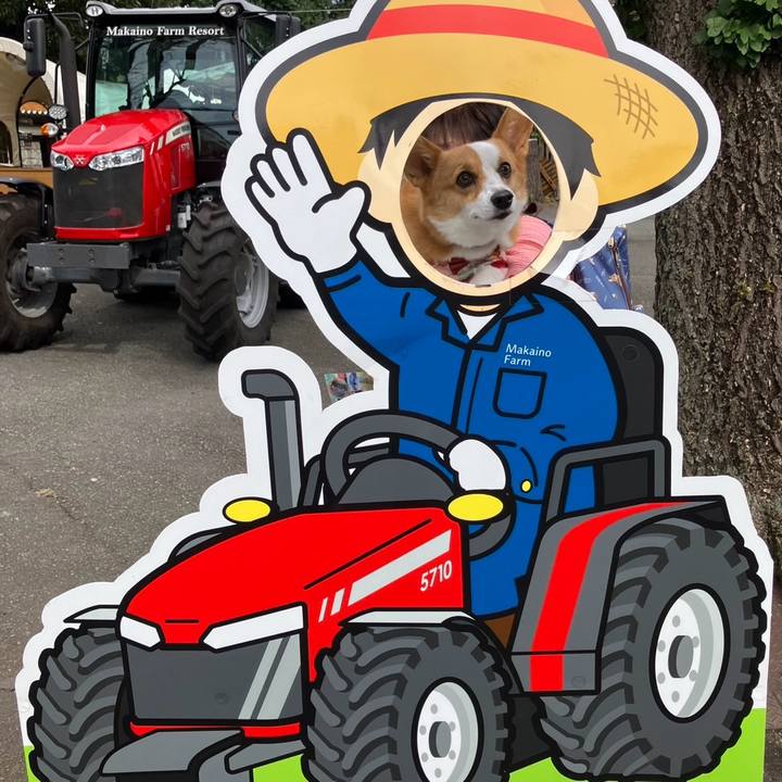 70c76160 4700 41e2 a728 7f3572d152bc 1760328044119