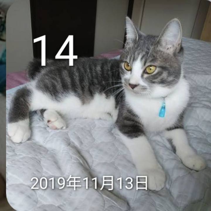 70c7b0e7 f0bc 4e29 9d60 7d42333a9bf3 1699913571051