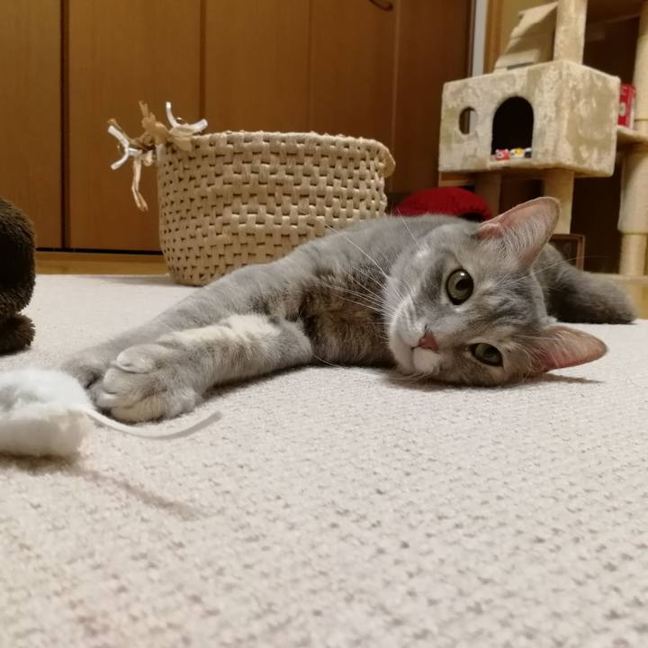 70c7cb77 2152 49d2 9a4b 333d77118035 1554387666772