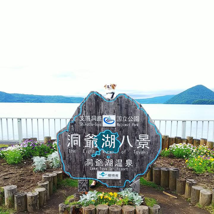 70c7d565 b1ee 4b09 b638 91ad03f5b2a4 1530344968479