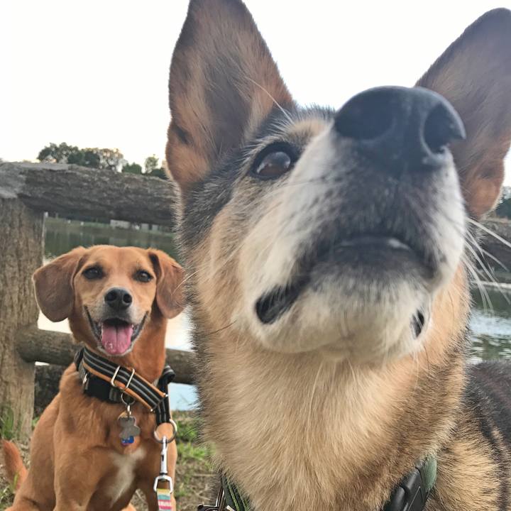 70c7d8b2 3536 4189 a324 467a670ba56b 1537271162874