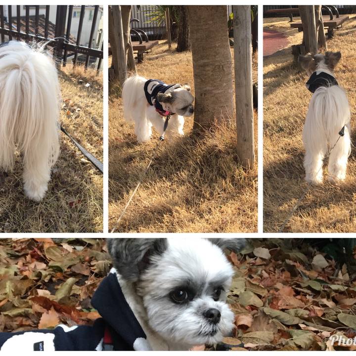 70c83417 b163 4e2a 9221 1aaecad0fa97 1515578432020