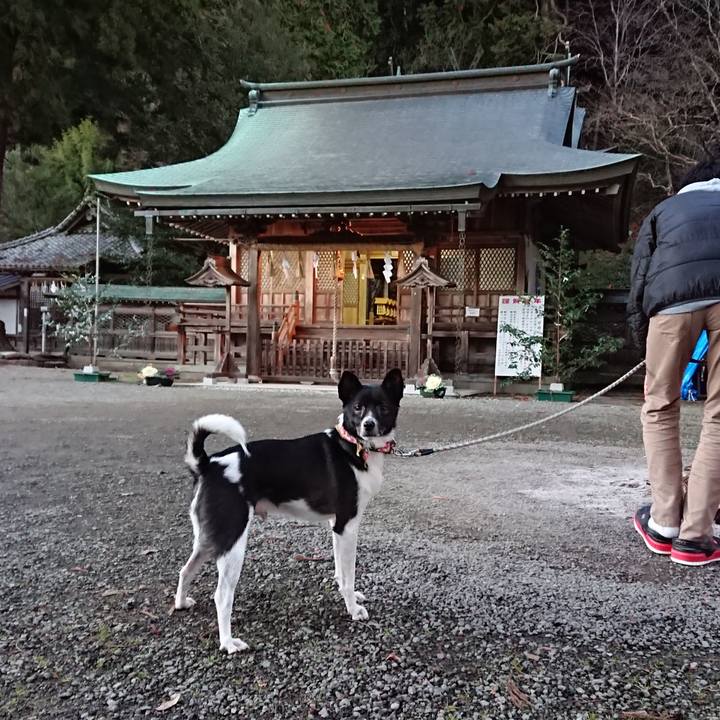 70c87afa 4e92 4905 b0df f946d7cb3a05 1546429233312